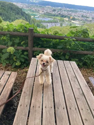ネイル 韓国ネイル/新大久保 /駅近 【Toko】のネイルデザイン