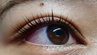 マツエク・マツパ angelux 所属・完全個室サロン🌹 angelux🌹のマツエク・マツパデザイン