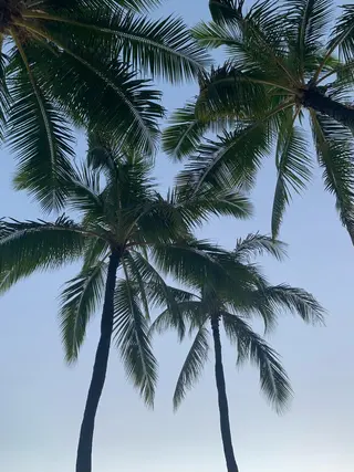 𝐘𝐎𝐒𝐇𝐈 𝐌𝐈🌞🏝のマツエク・マツパデザイン