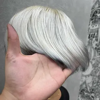 ハイトーン/ワンカラ /レイヤー/ウルフのヘアスタイル