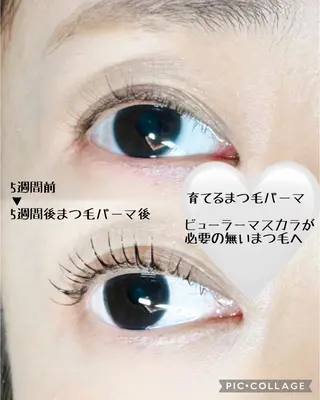 マツエク・マツパ ate eyelash所属・もり まゆみのマツエク・マツパデザイン