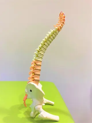 整体院和-KAZU-所属・姿勢不良・辛さを 解決に導く整体☝️✨のエステ・リラクイメージ