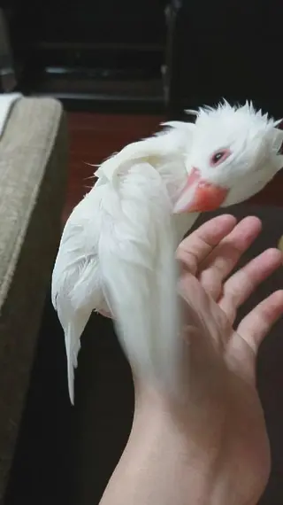 g*rossa高橋 くみこのエステ・リラクイメージ