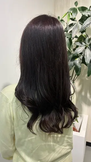 セミロング カラー ヘアアレンジ 🌟小出　倫花🌟 艶カラー／カットのヘアスタイル