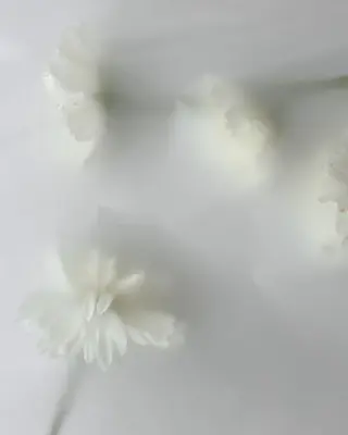 ネイル Bianca 原 苺花のネイルデザイン
