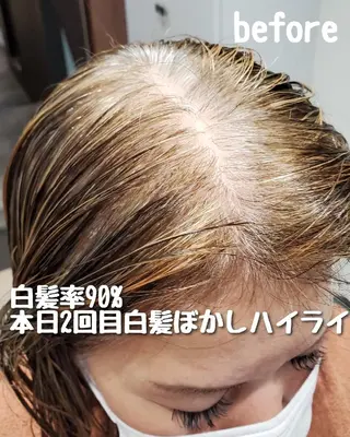 ショート 難波/白髪ぼかし/ KAORIのヘアスタイル