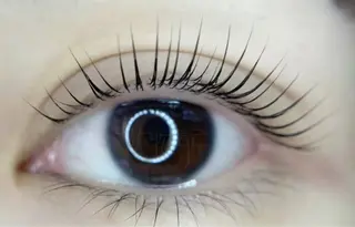 パーマ Z TTまつげネイルのマツエク・マツパデザイン