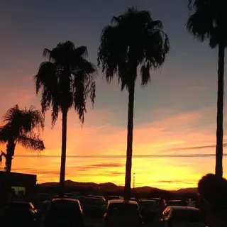 IwAsh  大和駅店所属・shiho .のヘアスタイル