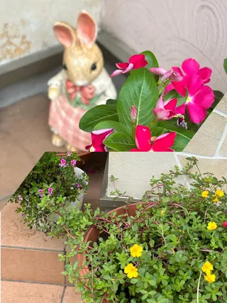 うえつま ふみえのエステ・リラクイメージ