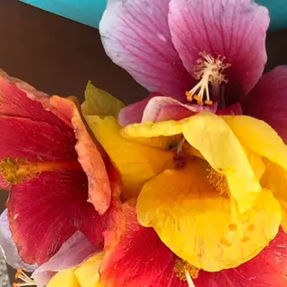 マツエク・マツパ SESUNNY セサ二ー　SAYAのマツエク・マツパデザイン