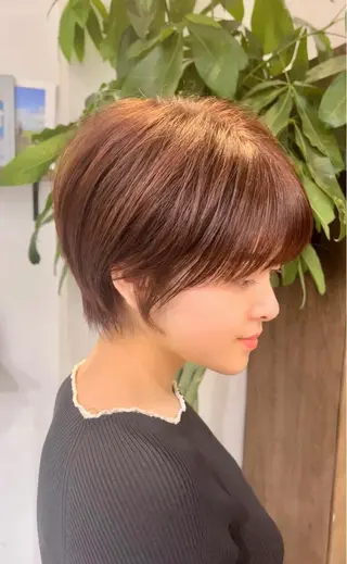 ショート カラー 🌈銀座、ボブ ショート🌈にっしーのヘアスタイル