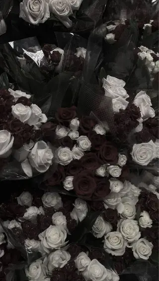 予約受付中 マドカ🕊️のヘアスタイル