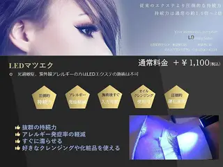 マツエク・マツパ タカハシ ユキナのマツエク・マツパデザイン