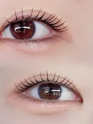 マツエク・マツパ Luxiel eye博多店所属・LuXiel mana🦙のマツエク・マツパデザイン