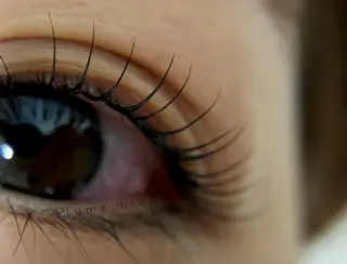 マツエク・マツパ Plume micoのマツエク・マツパデザイン