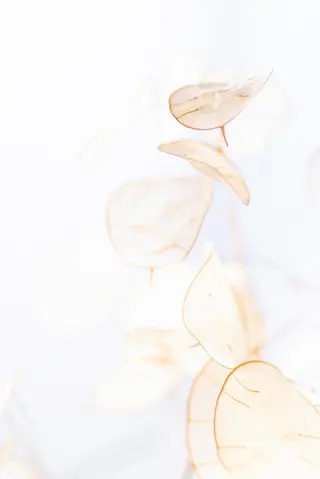 TIÁM eyelashのマツエク・マツパデザイン