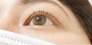 マツエク・マツパ トレヴァーデルチザン inuiのマツエク・マツパデザイン