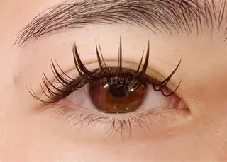 マツエク・マツパ Celeste Venus所属・🧸Celeste Venusのマツエク・マツパデザイン