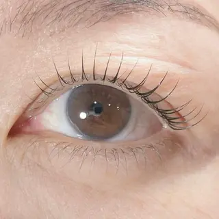 マツエク・マツパ cache 【カシェ】所属・cache / SAKIの眉毛・アイブロウイメージ