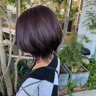 ショート カラー 貝本 遥那のヘアスタイル