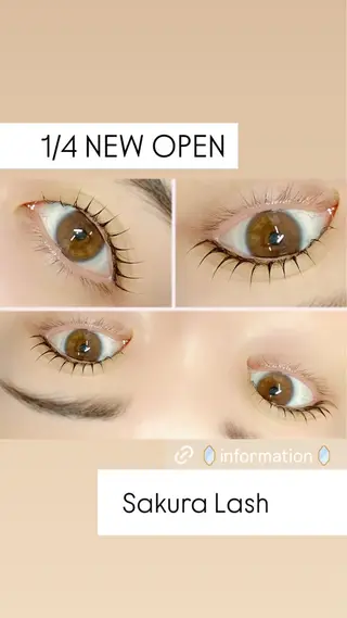 マツエク・マツパ まつげと眉毛のお店Sakura Lash【サクララッシュ】所属・【ダメージケア特化】 🌸 サクララッシュの眉毛・アイブロウイメージ