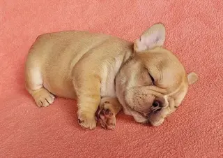 ミディアム ◆感動口コミ/最小顔 理論カット◆森口 峻のヘアスタイル