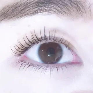 マツエク・マツパ R🌹 ⁺⊹˚.のマツエク・マツパデザイン