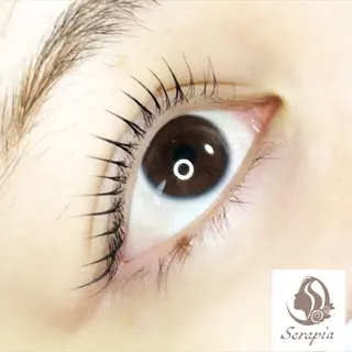 マツエク・マツパ Serapia 【セラピア】のマツエク・マツパデザイン