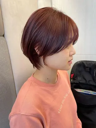 ショート カラー ヘアアレンジ 🍃柔らかヘアー田中 瑞希🍃のヘアスタイル
