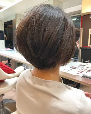 ショート カラー 手櫛でストレート/ 人生を変える美髪へのヘアスタイル