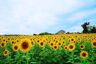 ネイル Nail Salon R.N アールドットエヌ所属・R.N アールドットエヌのネイルデザイン