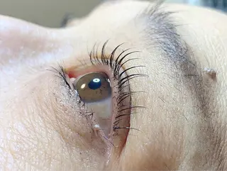 マツエク・マツパ teatree.. REINAのマツエク・マツパデザイン