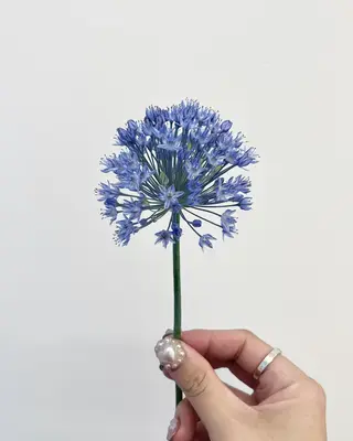 ショート カラー 暖色カラー／ ヘアセット🌛櫻井舞のヘアスタイル