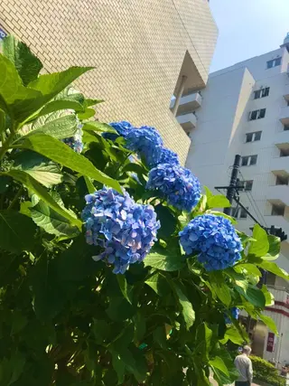 ミディアム カラー パーマ ヘアアレンジ メンズ キッズ ネイル マツエク・マツパ アニメ,Vオタク× 即効痩せエステサロンのエステ・リラクイメージ