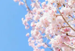 Tendre Rêveのマツエク・マツパデザイン