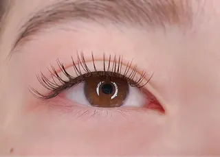 マツエク・マツパ LASHIQ南堀江 奥優美のマツエク・マツパデザイン