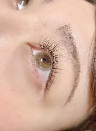 マツエク・マツパ lush&blow 　JIJI所属・lush &blow JIJIのマツエク・マツパデザイン