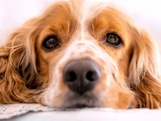 安眠ヘッドスパ美整体 🌿白金/目黒/鈴木のエステ・リラクイメージ