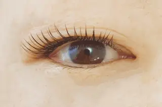 マツエク・マツパ まつげと眉のお店　Nerine【ネリネ】所属・まつげと眉のお店 Nerineのマツエク・マツパデザイン