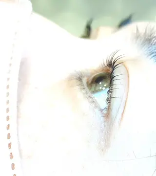 マツエク・マツパ Beauty Salon KANASA所属・KANASA 【カナサ】*Megのマツエク・マツパデザイン