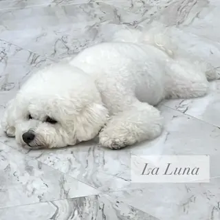 ＬａＬｕｎａ🌙 natsukiのネイルデザイン