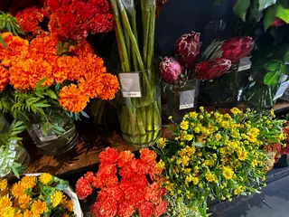 マツエク・マツパ komatsu eyelash恵比寿のマツエク・マツパデザイン