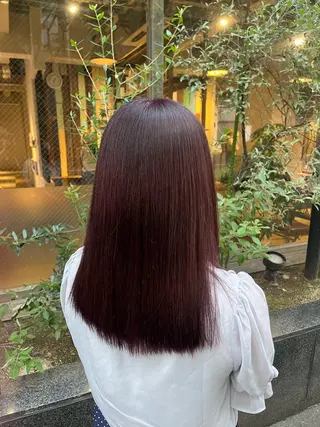 カラー えんぐちとも／透明感 カラー／博多ボブのヘアスタイル