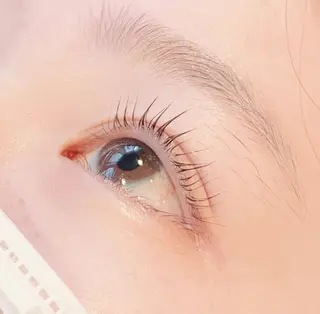 マツエク・マツパ soleil大森店所属・まつ毛カール専門店 Soleil六本木店のマツエク・マツパデザイン