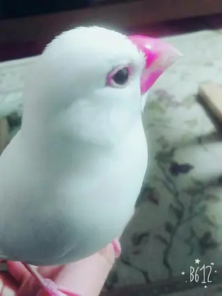 g*rossa高橋 くみこのエステ・リラクイメージ