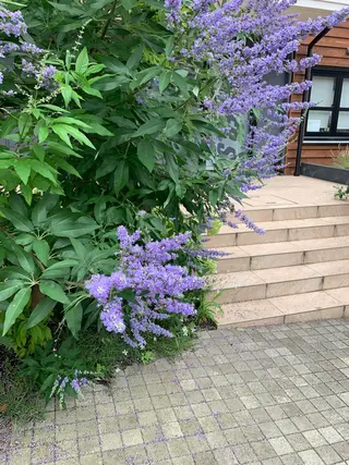 ロング カラー ヘアアレンジ pu+on. nailworks所属・fuyumi / ニュアンスネイルのネイルデザイン