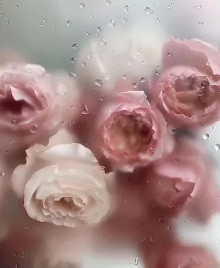 🦋 Natsumiのマツエク・マツパデザイン