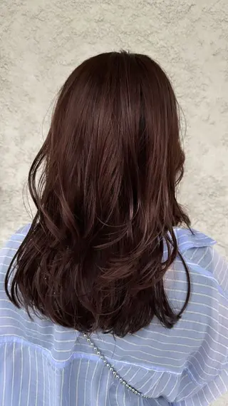 セミロング カラー 椎葉 祐也のヘアスタイル