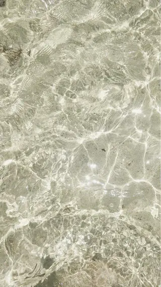 🪽艶感× hair ｜kazaneのヘアスタイル