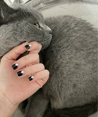 ネイル 秋吉 真寿美のネイルデザイン